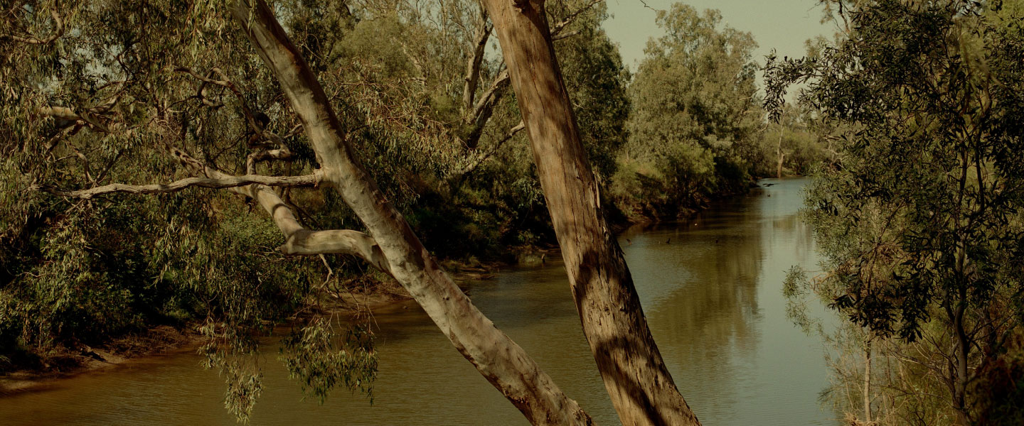The Biodiversity Project